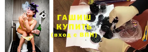 индика Бердск