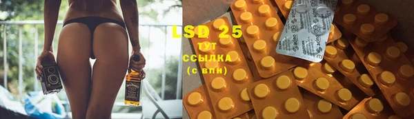 винт Алагир