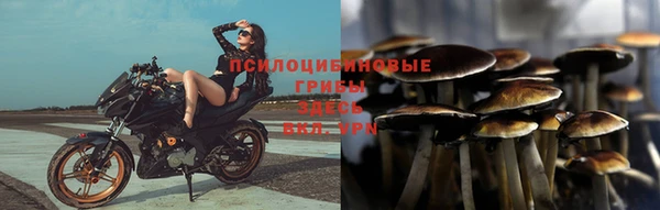 соль курить ск Артём