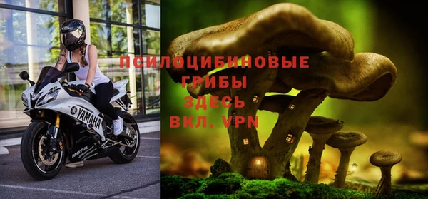 соль курить ск Артём