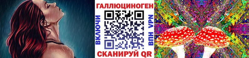 Псилоцибиновые грибы Psilocybe  Купить где  Щёлкино 