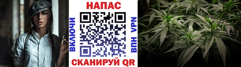 Конопля SATIVA & INDICA  Купить закладки  Щёлкино 
